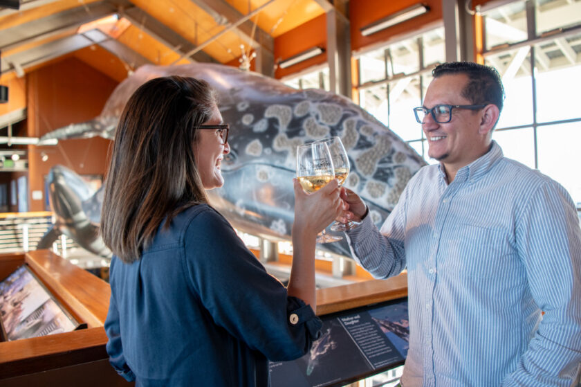 Two coworkers toast with wine glasses in a marine museum, a large whale skeleton display behind them.