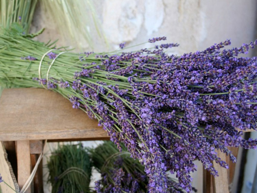 Bundle of fresh purple lavender tied with string resting on a wooden table surface